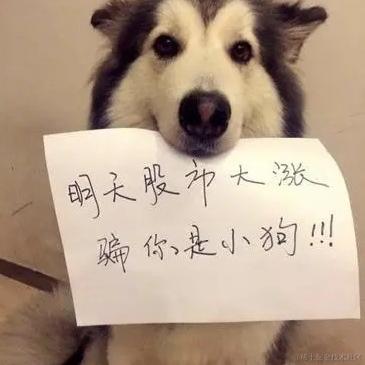 Nevertheless于2021-03-04 09:47发布的图片