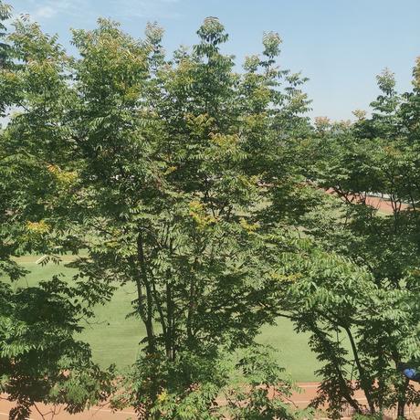 c653d0于2023-06-21 12:06发布的图片