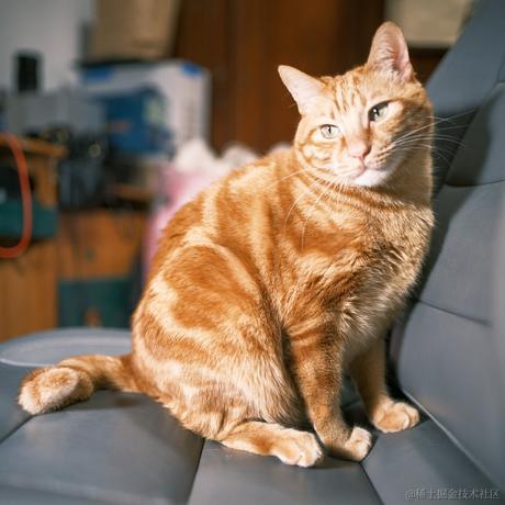 estar于2022-11-26 20:44发布的图片