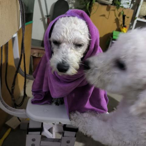 宣春不饿于2022-11-12 00:14发布的图片