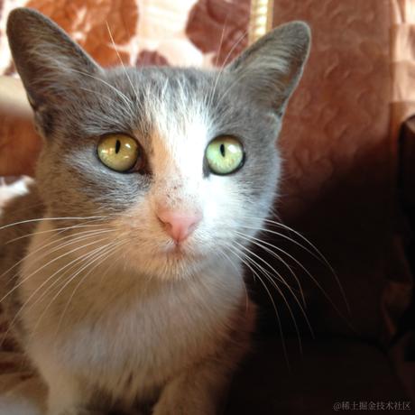 咚咚咚哒哒哒于2021-01-15 16:51发布的图片