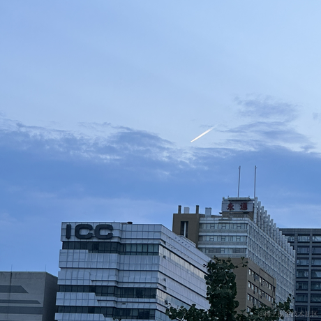 涛涛呀于2023-09-01 10:00发布的图片