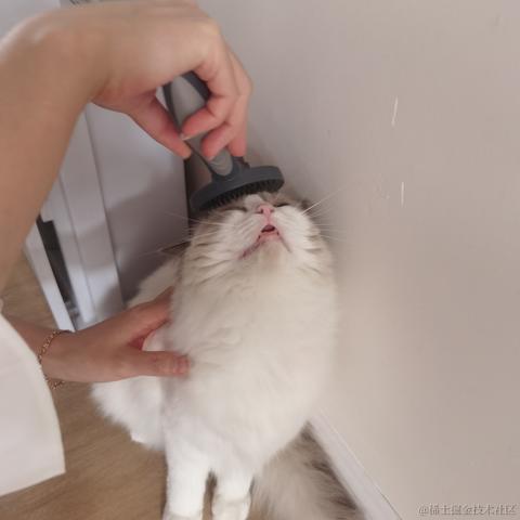 青乐于2021-10-28 09:08发布的图片