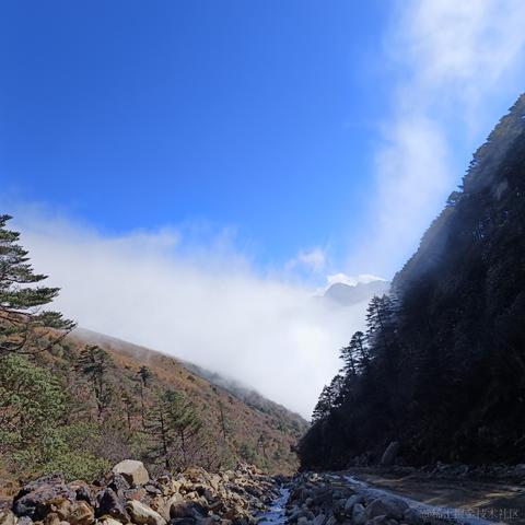 一个魂魂于2022-11-15 09:02发布的图片