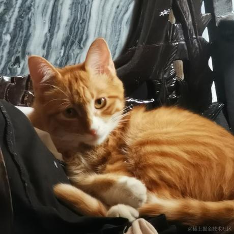 柒弎于2022-11-23 22:18发布的图片