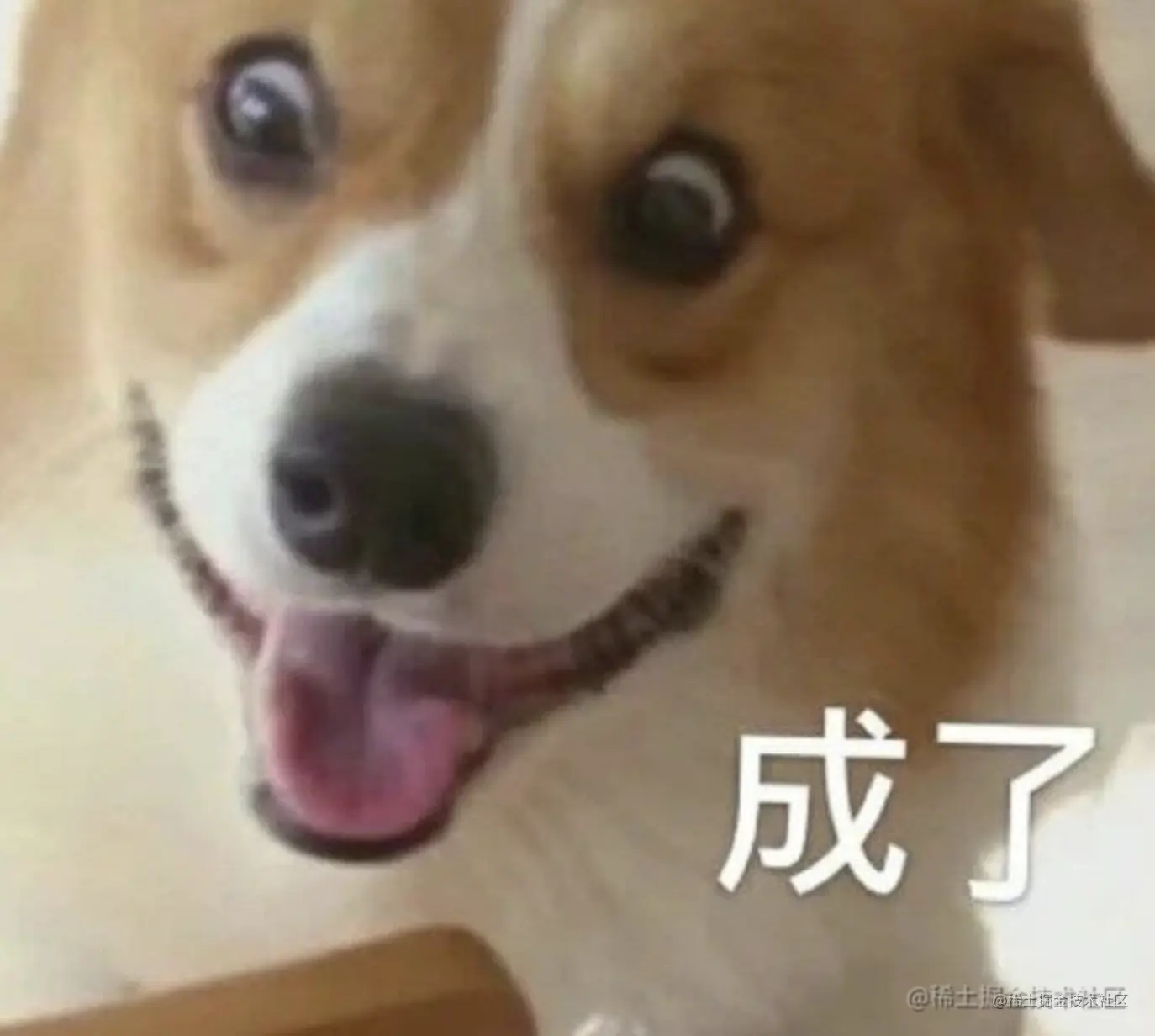 成了.png