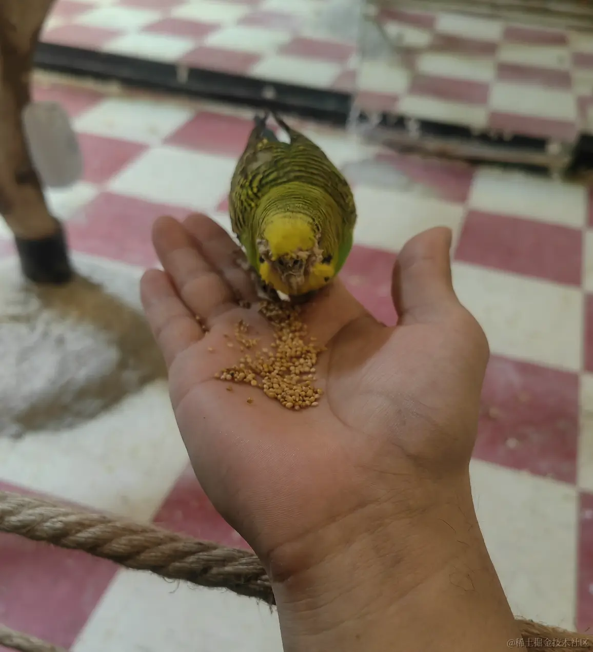 截屏2024-03-10 19.23.32.png