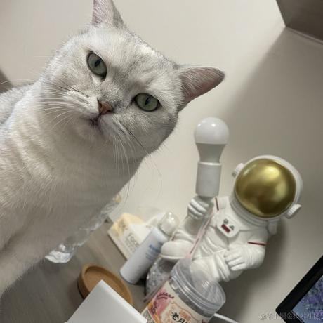 礼格表于2023-05-24 16:29发布的图片