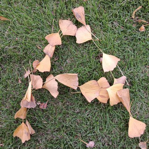 ava向晚大魔王于2022-11-12 09:55发布的图片