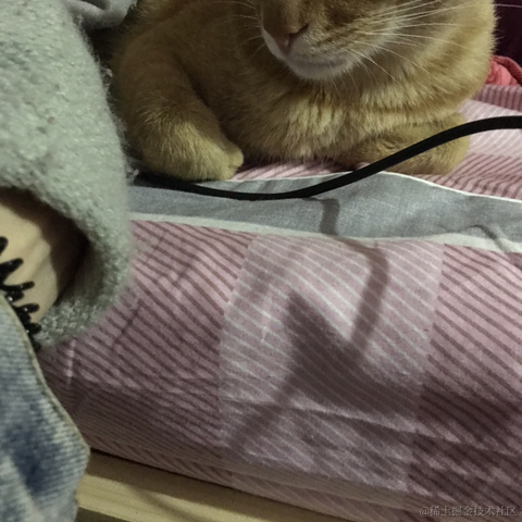 Li_Cat001于2021-02-02 07:34发布的图片