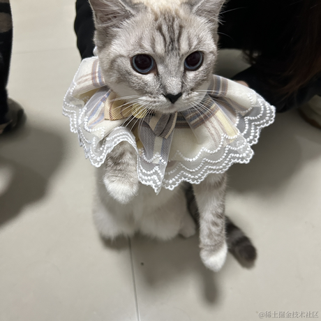 llight于2023-04-25 08:39发布的图片