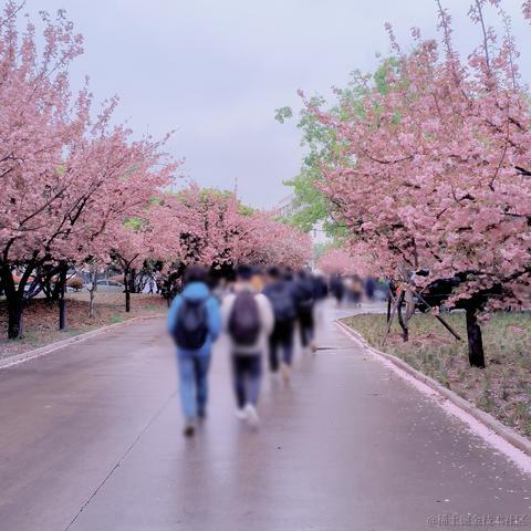 vincookies于2023-04-07 17:52发布的图片