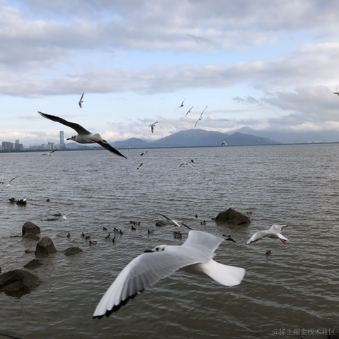 尚影嫣于2023-02-18 17:41发布的图片