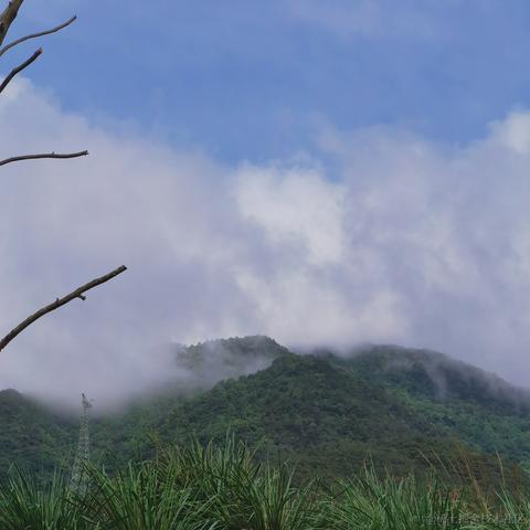 曼策于2023-04-19 12:40发布的图片