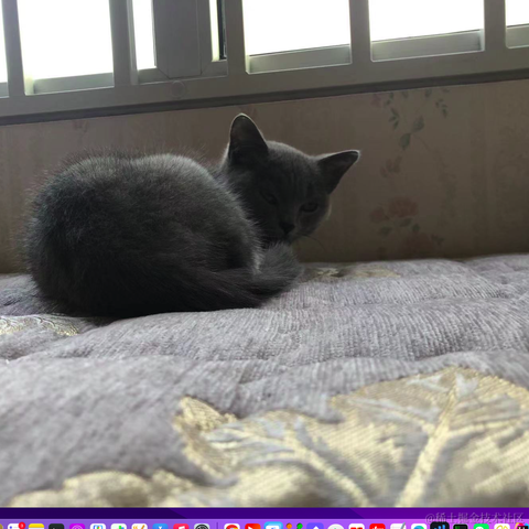 Java程序猿于2022-11-23 15:00发布的图片