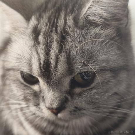 吃鱼的不一定是猫于2024-01-19 13:42发布的图片