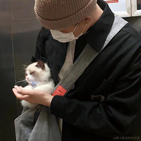 gentle_autonomic于2022-11-02 23:30发布的图片