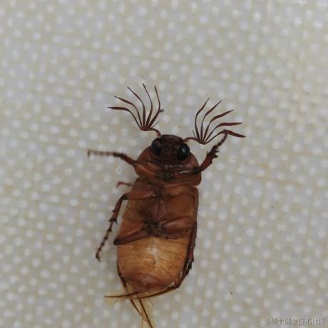 小橙子呀于2022-06-22 09:53发布的图片