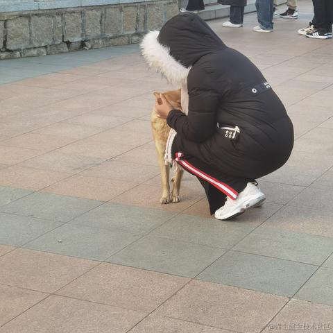 我想要阿草手托拜托了于2022-12-01 07:31发布的图片