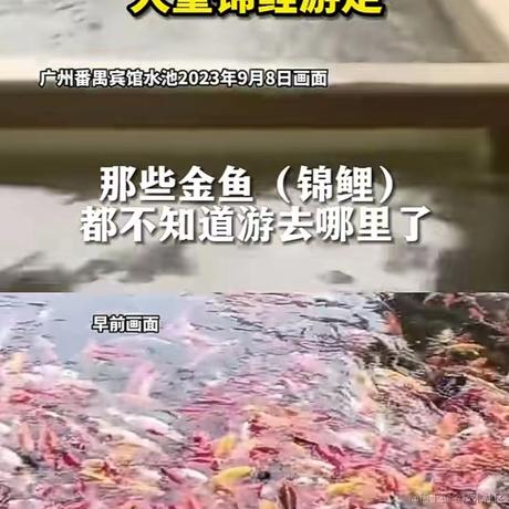 铸月于2023-09-08 14:51发布的图片