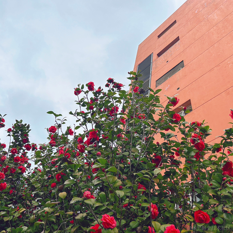 快乐的海绵宝宝于2023-03-20 13:12发布的图片