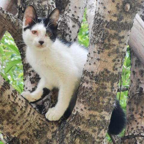 叮咚咚咚于2022-10-18 23:03发布的图片