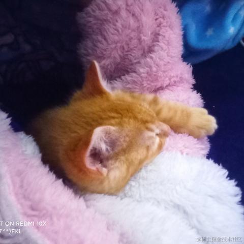 外貌协会金钱豹于2022-02-27 10:46发布的图片