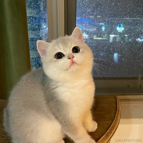 Livingbody于2021-10-29 11:04发布的图片