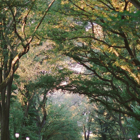 码界西柚于2023-01-18 00:42发布的图片