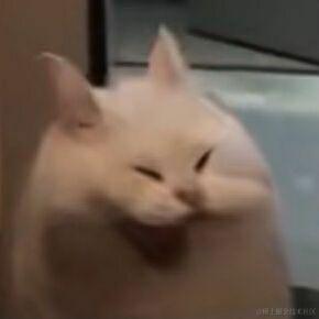 好好生活努力画画于2022-12-15 14:59发布的图片