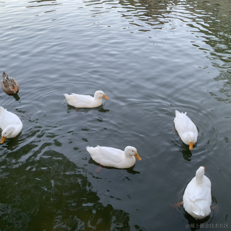 有这回事于2022-11-26 01:00发布的图片