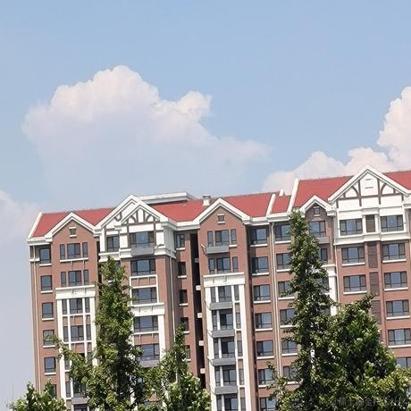 大脑袋瓜子于2022-11-23 20:01发布的图片