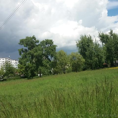 已注销于2023-05-12 15:58发布的图片