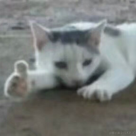 新世纪玉玉战士于2022-12-06 08:39发布的图片