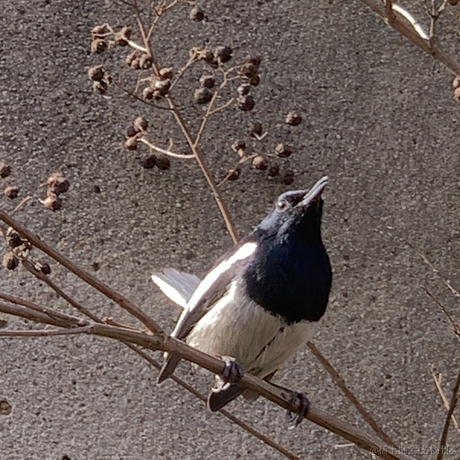 拾贰twelvve于2022-12-15 19:17发布的图片