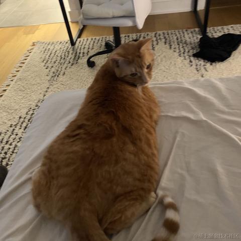 moremorefree001于2021-01-05 09:53发布的图片