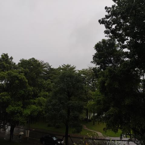 inuyama于2022-11-24 14:31发布的图片