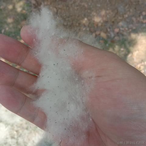 卖核弹的龟于2022-04-06 13:34发布的图片