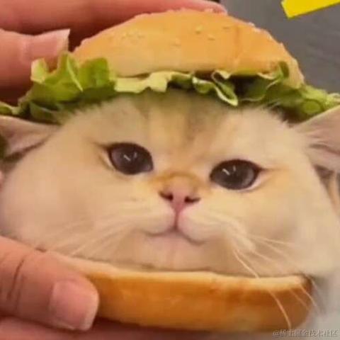 肥肥左卫门于2022-11-26 23:21发布的图片