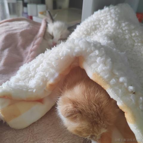 冷酷的人于2023-04-12 11:58发布的图片