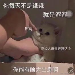 然比今天吃辣堡于2023-07-08 10:45发布的图片
