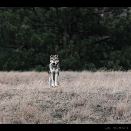 Red_balloon于2022-10-03 18:38发布的图片