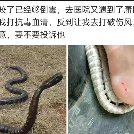 osmium于2022-08-05 23:46发布的图片