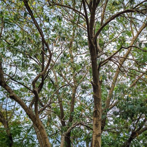 小栗帽永远的神于2022-11-24 10:07发布的图片