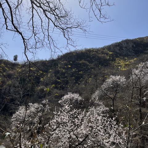 codeniu于2023-03-14 08:32发布的图片