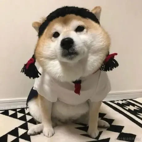 吸血鬼Y于2022-11-21 08:46发布的图片