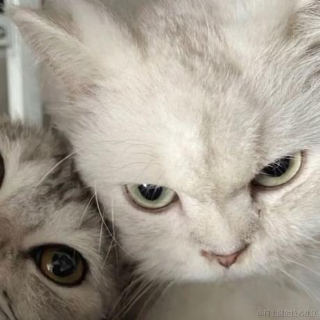 一米二于2022-12-09 18:32发布的图片