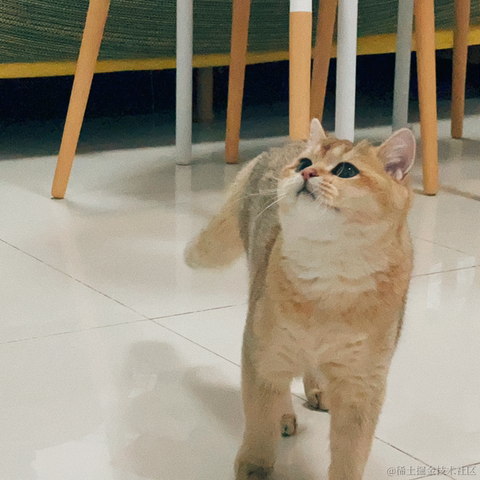 小蝴蝶于2021-12-23 15:50发布的图片