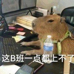 ccz于2023-10-12 08:51发布的图片