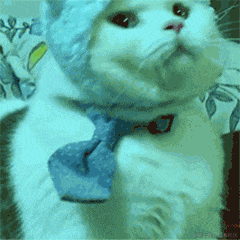 叫我八八于2021-05-18 09:39发布的图片